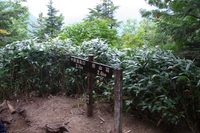 中房温泉~燕岳 #2