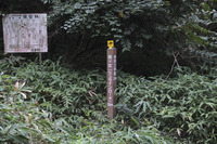 紅葉谷道~湯涌谷峠~シュラインロード~地獄谷