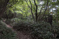 紅葉谷道~湯涌谷峠~シュラインロード~地獄谷