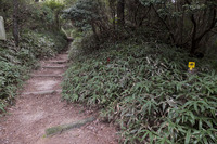 紅葉谷道~湯涌谷峠~シュラインロード~地獄谷