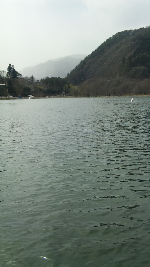 尾瀬フィッシングライブ