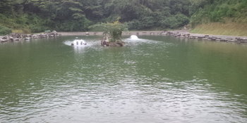 戸神の池 釣行 9/24 今シーズン初釣行は・・・。 戸神の池 釣行 9/24 今シーズン初釣行は・・・。