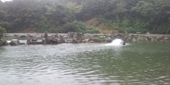 戸神の池 釣行 9/24 今シーズン初釣行は・・・。 戸神の池 釣行 9/24 今シーズン初釣行は・・・。