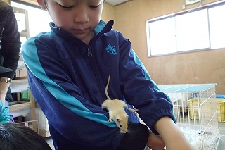 水海道あすなろの里キャンプ場①家族の要求全てに応えるキャンプ場発見! 水海道あすなろの里キャンプ場①家族の要求全てに応えるキャンプ場発見!