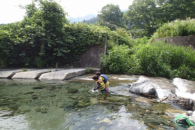 道志村にも夏が来た！水之元キャンプ場で川遊び①