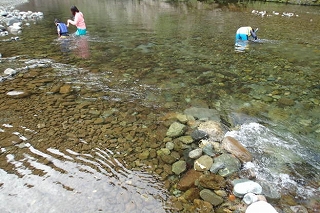 さすらって道志村、道志渓谷キャンプ場に決めた。 さすらって道志村、道志渓谷キャンプ場に決めた。