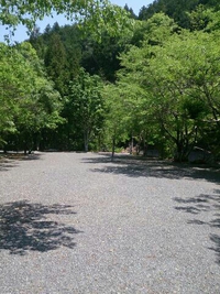 根熊山荘オートキャンプ場①ﾊﾟﾊﾟの迷走と川遊び