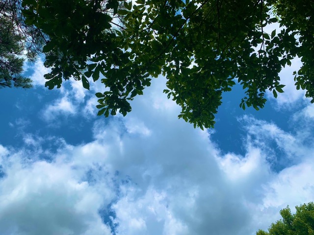 梅雨明け前 どこ行くべ! 梅雨明け前 どこ行くべ!