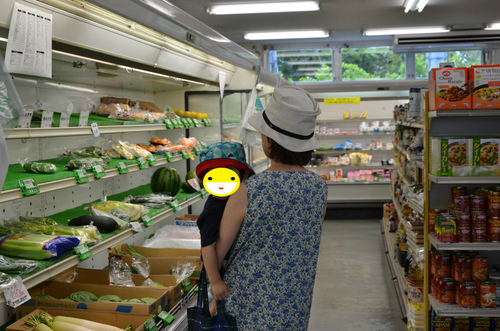 にっぽん丸で小笠原諸島:本編 四日目