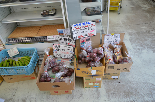 にっぽん丸で小笠原諸島:本編 四日目