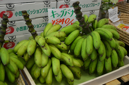 にっぽん丸で小笠原諸島:本編 四日目