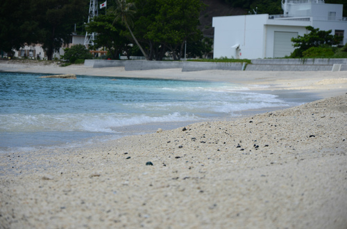 にっぽん丸で小笠原諸島:本編 四日目