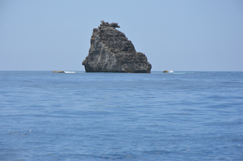 にっぽん丸で小笠原諸島:本編 四日目