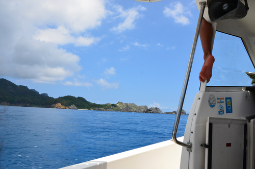 にっぽん丸で小笠原諸島:本編 四日目
