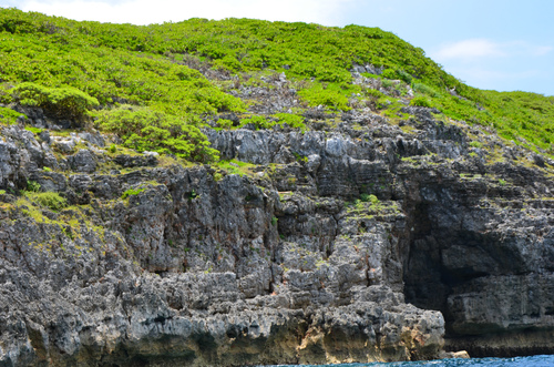 にっぽん丸で小笠原諸島:本編 四日目
