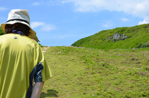にっぽん丸で小笠原諸島:本編 四日目