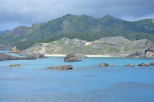にっぽん丸で小笠原諸島:本編 四日目