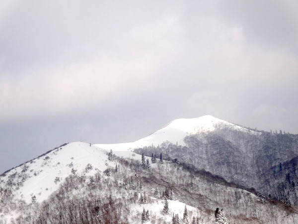 武奈ヶ岳 雪山ハイク 雪山登山 比良山系 papagonia