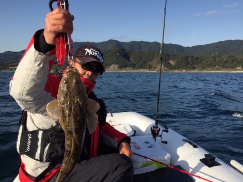魚・烏賊・・ 魚・烏賊・・