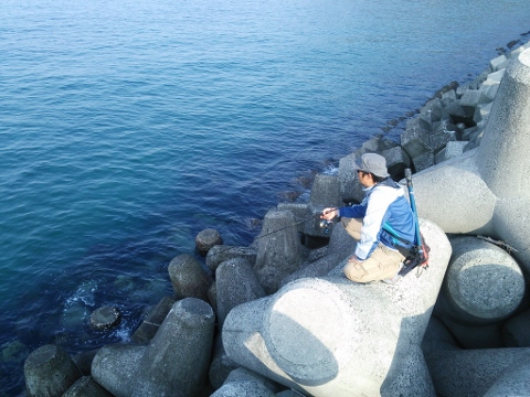 魚・烏賊・・ 魚・烏賊・・