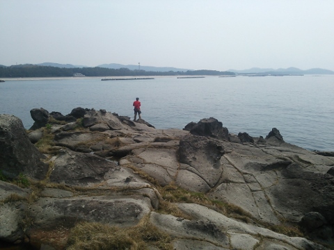 魚・烏賊・・ 魚・烏賊・・