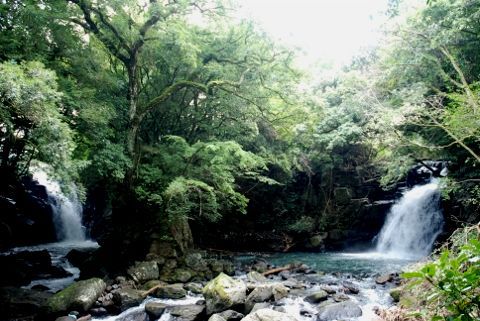 秋の先取りキャンプ・・