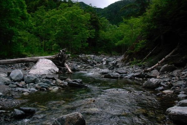 北岳〜間ノ岳、それからイワナ 2日目 北岳〜間ノ岳、それからイワナ 2日目