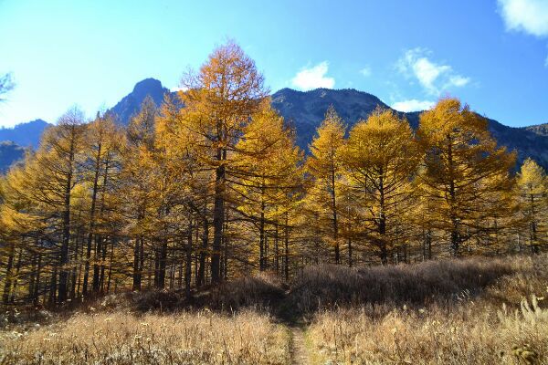 黒斑山~Jバンド~草すべり 黒斑山~Jバンド~草すべり