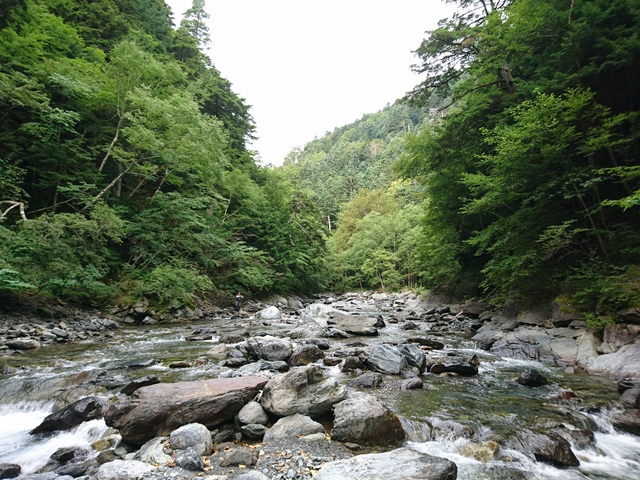 雨の中、南ア 雨の中、南ア