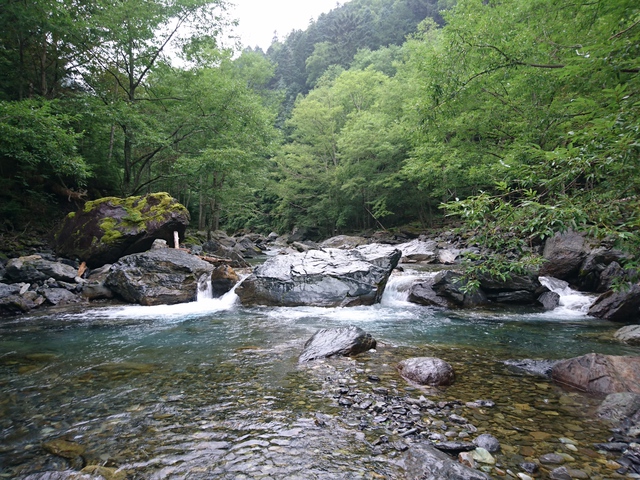雨の中、南ア 雨の中、南ア