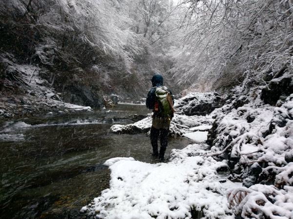 雪降る渓のデカイワナ 雪降る渓のデカイワナ