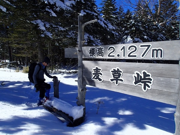 北八ヶ岳ロープウェイ山頂駅〜雨池〜麦草ヒュッテ〜五辻 北八ヶ岳ロープウェイ山頂駅〜雨池〜麦草ヒュッテ〜五辻