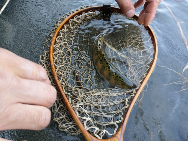 釣れないぞ 釣れないぞ