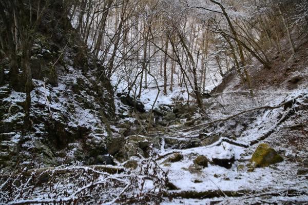 雪降ってた(´・_・`) 雪降ってた(´・_・`)