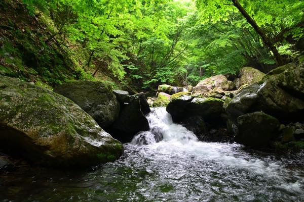 厳しいな〜 厳しいな〜
