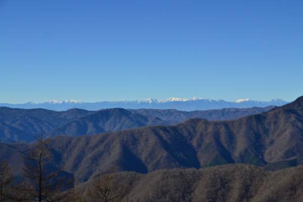 久しぶりの雲取山 久しぶりの雲取山