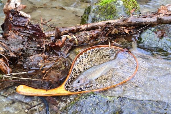 白い砂地の渓流へ 白い砂地の渓流へ