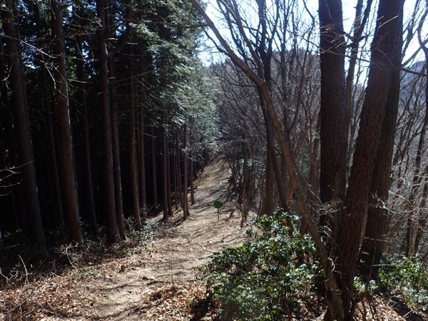 奥之院〜鍋割山〜大岳山 奥之院〜鍋割山〜大岳山