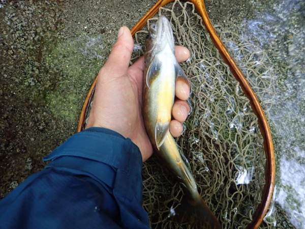 有給釣行♪ 有給釣行♪