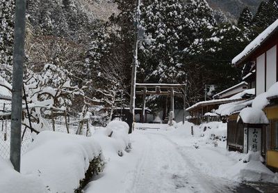 ＊　冬の武奈ヶ岳　雪山登山　＊