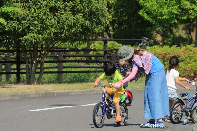 ありがとうサンローラン@大子広域公園グリンヴィラ(20150530-0531) ありがとうサンローラン@大子広域公園グリンヴィラ(20150530-0531)
