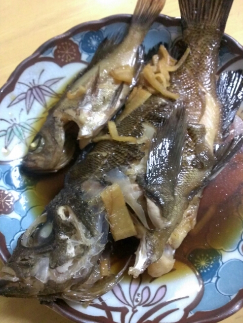 船折キャンプ場でメバル釣りキャンプ♪