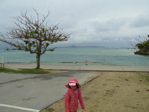 備瀬 早朝散歩~エメラルドビーチ海水浴!☆2015沖縄旅ハチ 備瀬 早朝散歩~エメラルドビーチ海水浴!☆2015沖縄旅ハチ