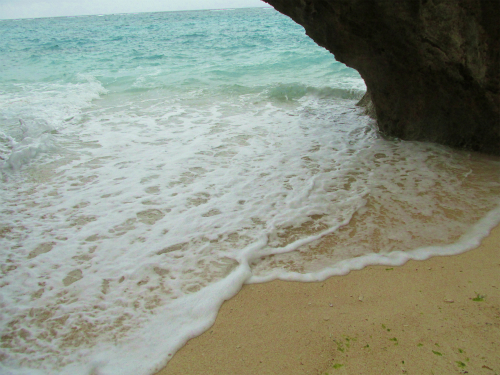 備瀬 早朝散歩~エメラルドビーチ海水浴!☆2015沖縄旅ハチ 備瀬 早朝散歩~エメラルドビーチ海水浴!☆2015沖縄旅ハチ