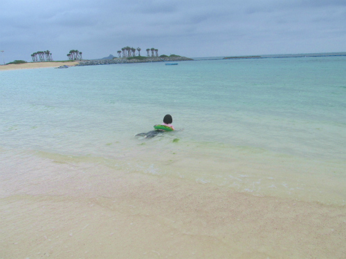 備瀬 早朝散歩~エメラルドビーチ海水浴!☆2015沖縄旅ハチ 備瀬 早朝散歩~エメラルドビーチ海水浴!☆2015沖縄旅ハチ