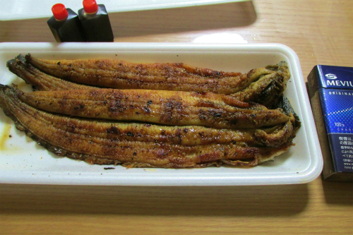 うなぎ!☆大池オートキャンプ場5 うなぎ!☆大池オートキャンプ場5