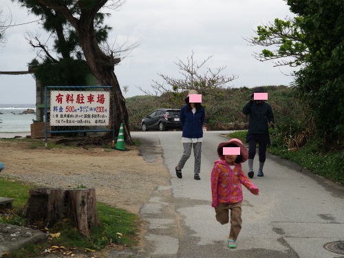 備瀬 早朝散歩~エメラルドビーチ海水浴!☆2015沖縄旅ハチ 備瀬 早朝散歩~エメラルドビーチ海水浴!☆2015沖縄旅ハチ