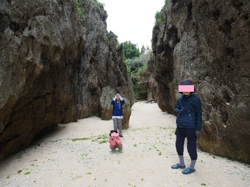備瀬 早朝散歩~エメラルドビーチ海水浴!☆2015沖縄旅ハチ 備瀬 早朝散歩~エメラルドビーチ海水浴!☆2015沖縄旅ハチ