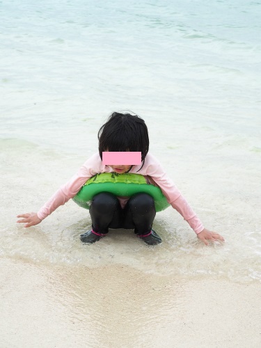 備瀬 早朝散歩~エメラルドビーチ海水浴!☆2015沖縄旅ハチ 備瀬 早朝散歩~エメラルドビーチ海水浴!☆2015沖縄旅ハチ