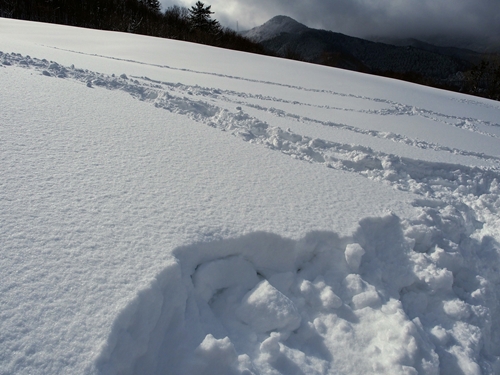 蒜山に雪を見に行ってきました！☆